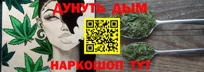 прущие крисы Гай