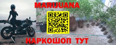 прущие крисы Гай