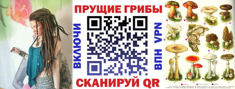 MEGA tor  Новочебоксарск  Псилоцибиновые грибы ЛСД  купить наркотик 