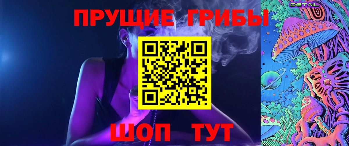 Псилоцибиновые грибы мицелий Новочебоксарск