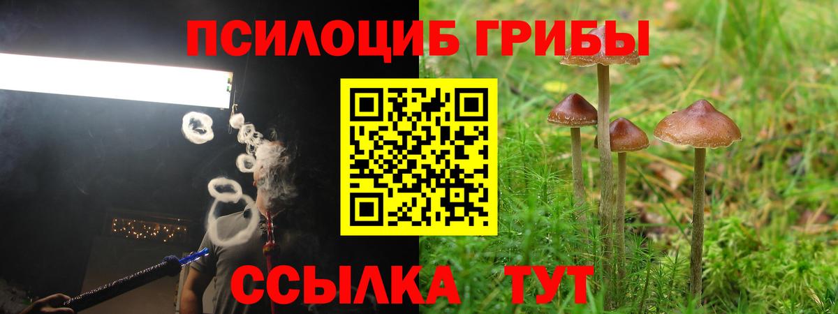 Галлюциногенные грибы Cubensis  сколько стоит  Новочебоксарск  Вход с VPN 